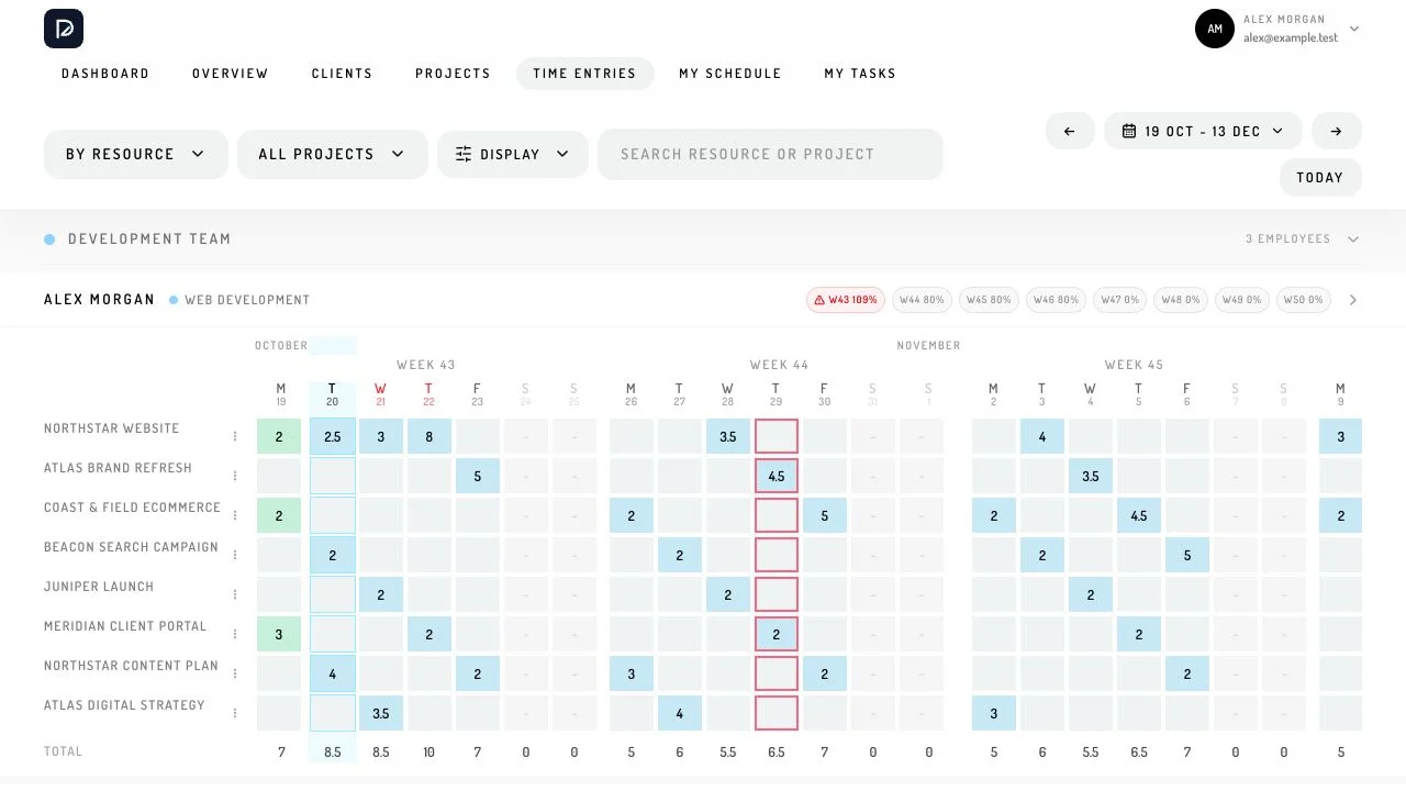 Team time entries and eight-week resource planning